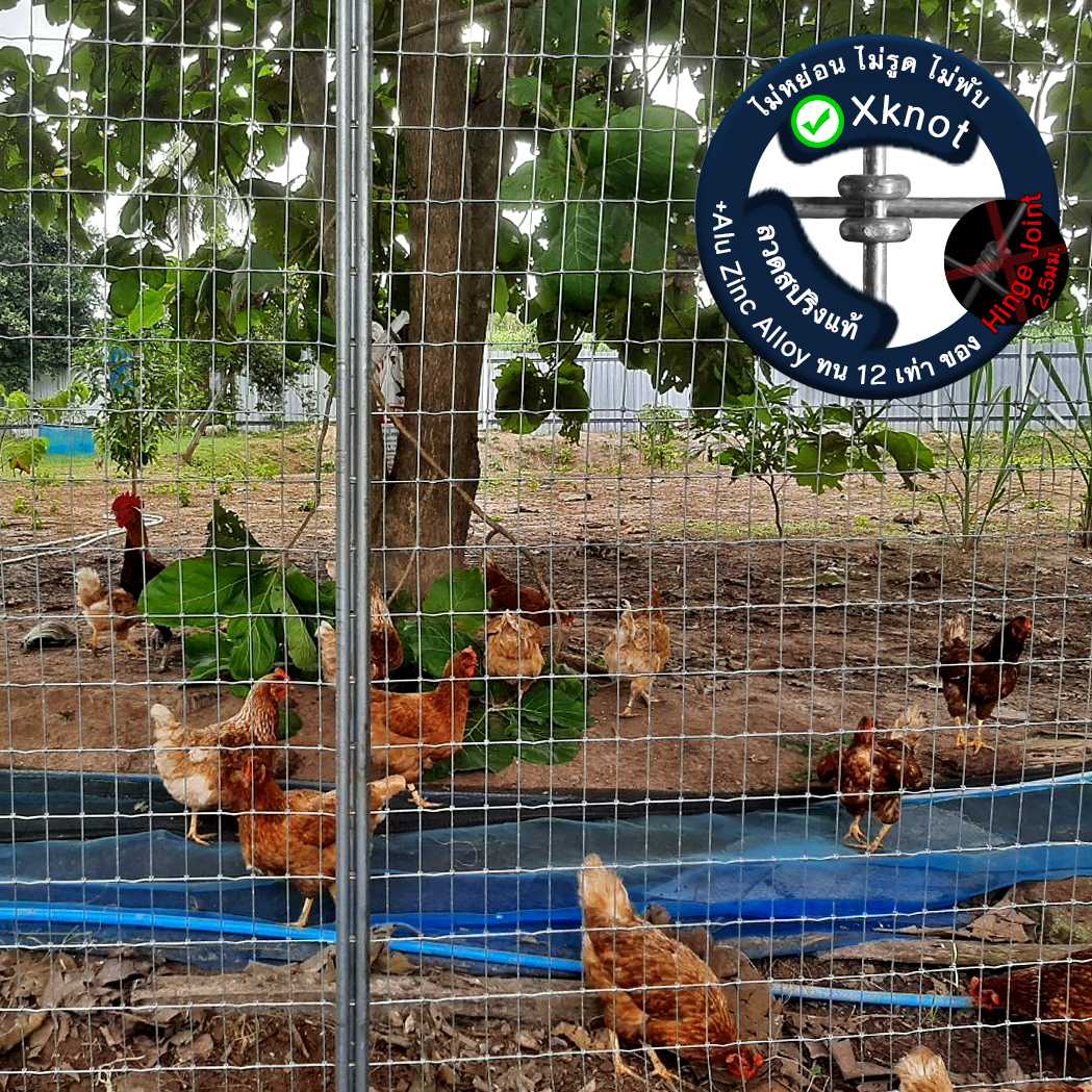 รั้วไก่ รั้วตาข่าย 5x10 พีพีเฟ้นซ์ 3